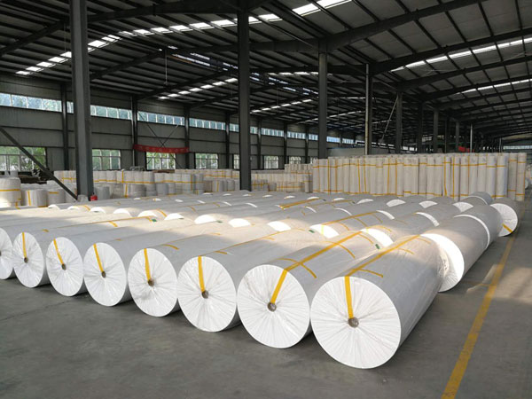 鼎城狭缝式涤纶纺粘无纺布